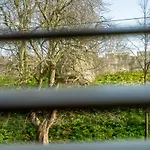 46 Nunnery Lane Holiday home *